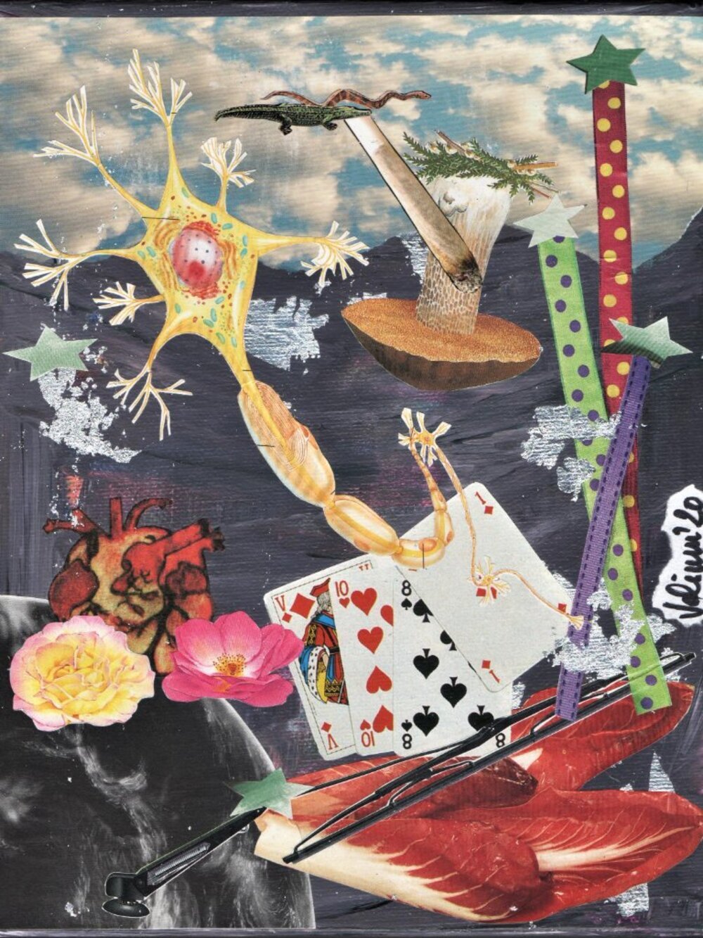 Original & unique collage on a 8 X 10 X 1 1/2 canvas with a flower border